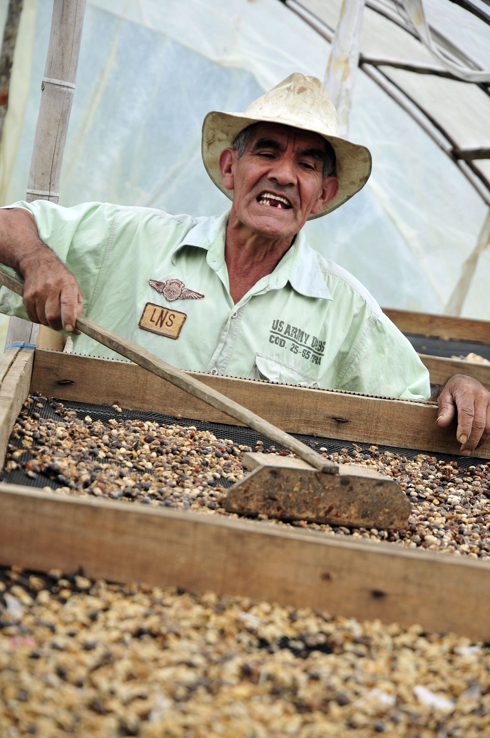Caficultor colombiano con sombrero removiendo el café en un secador de madera